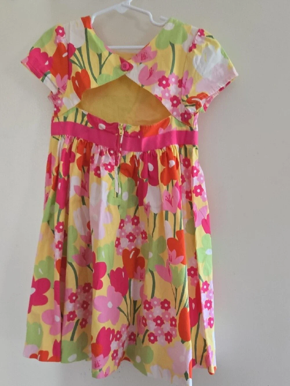 Girls GYMBOREE Floral Party Dress with Pink Waistband